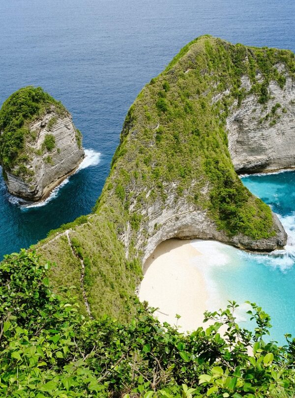 bali, indonesia, kelingking, nature, sea, island, tree, forest