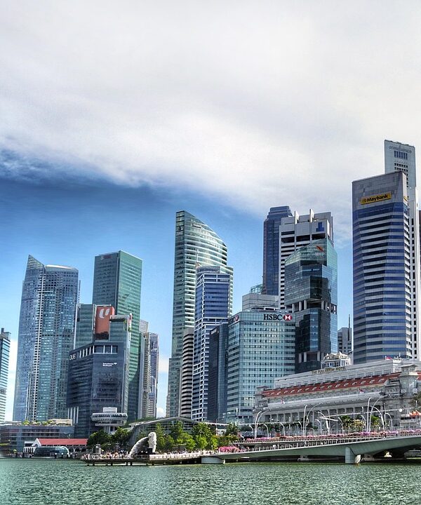 singapore, singapore river, skyline, building, water, nature, financial district, skyscraper, architecture, urban, offices, business, bank, city, reflection, tower, blue sky, people, tourism, blue business, blue office, blue city, blue building, blue river, blue bank, blue company
