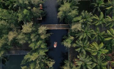 Top-down view of a serene canal surrounded by lush tropical palm trees, featuring boats in Kerala, India.