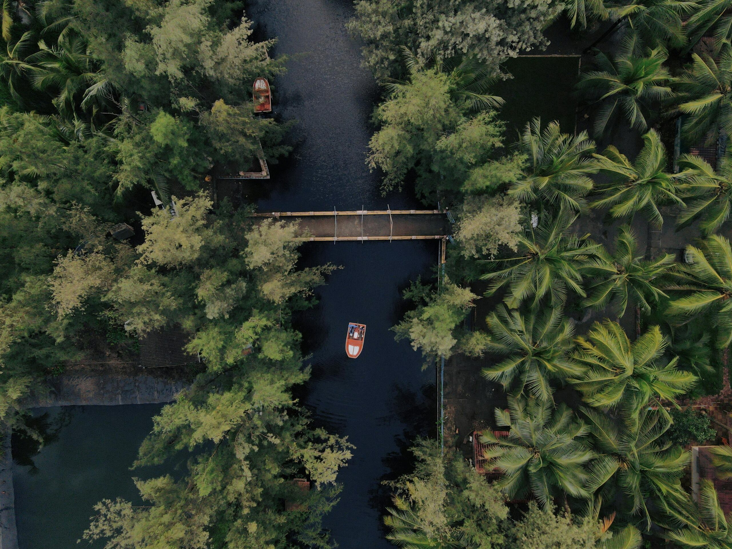Top-down view of a serene canal surrounded by lush tropical palm trees, featuring boats in Kerala, India.