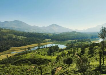 A breathtaking aerial view of Munnar, India, showcasing lush tea plantations and a serene river.