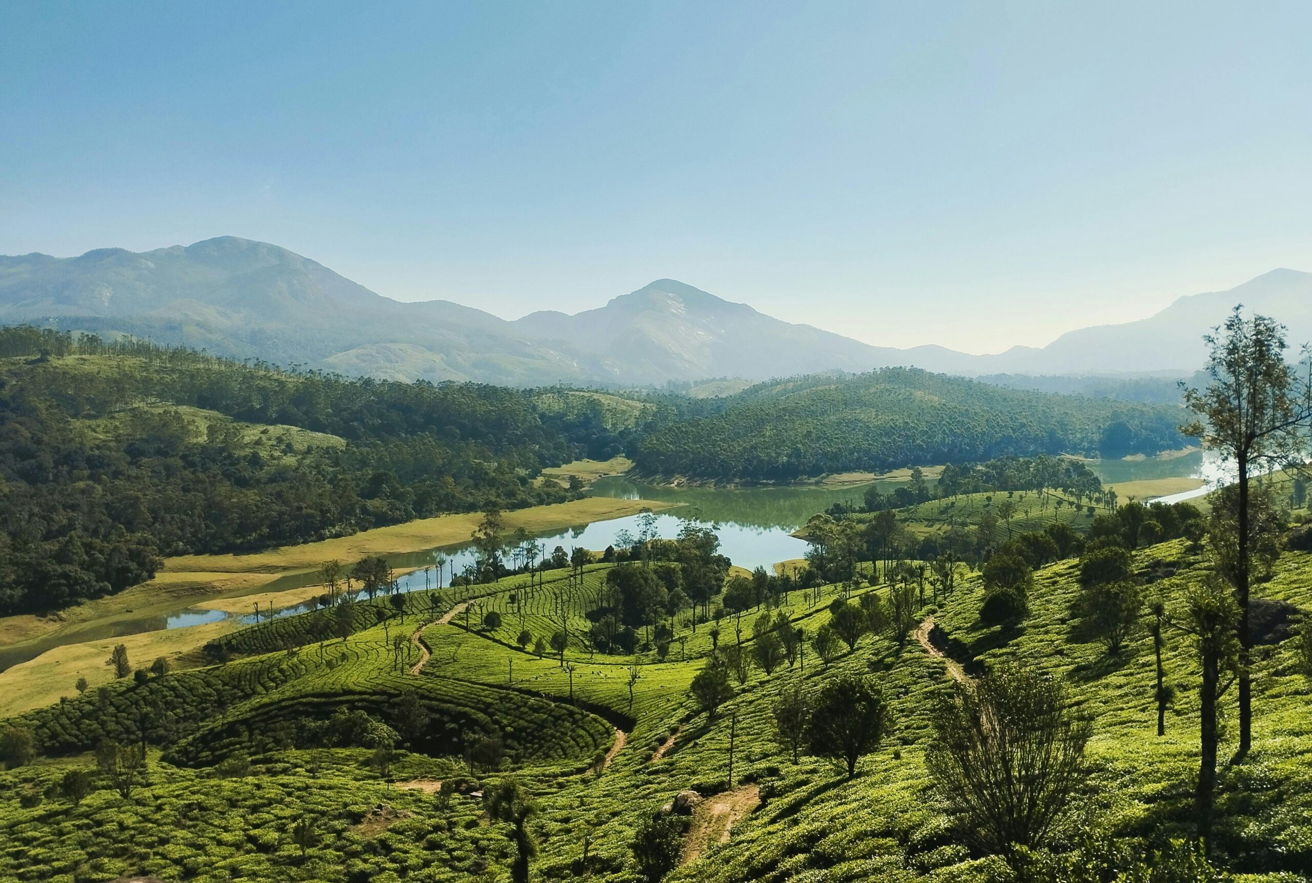 A breathtaking aerial view of Munnar, India, showcasing lush tea plantations and a serene river.