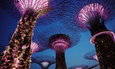 Captivating nighttime shot of the illuminated Supertree Grove in Singapore's Gardens by the Bay.