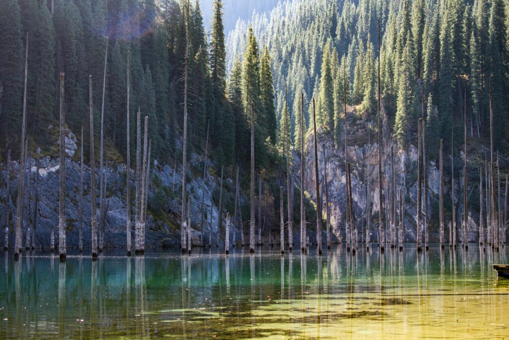 Free stock photo of 4k landscape, 8k landscape, abstract photography